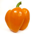 Bell Pepper, Orange