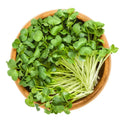 Microgreens, Radish, Organic