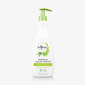 Dish Soap, Eucalyptus Rose