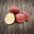Potato, Red, Organic