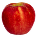 Apple, Cosmic Crisp, Organic