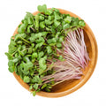 Microgreens, Spicy, Organic