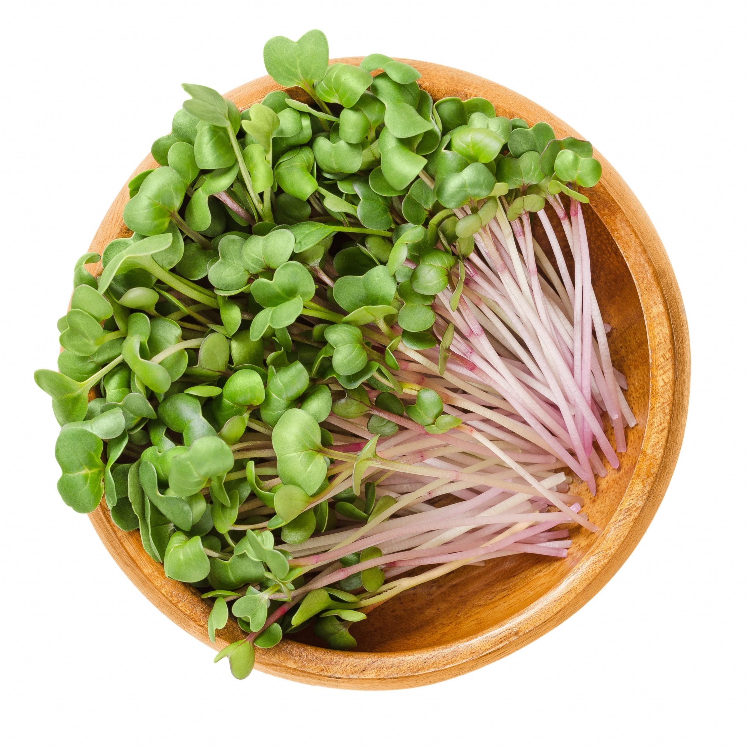 Microgreens, Sandwich Booster, Organic