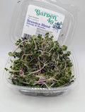 Microgreens, Brassica Blend, Organic