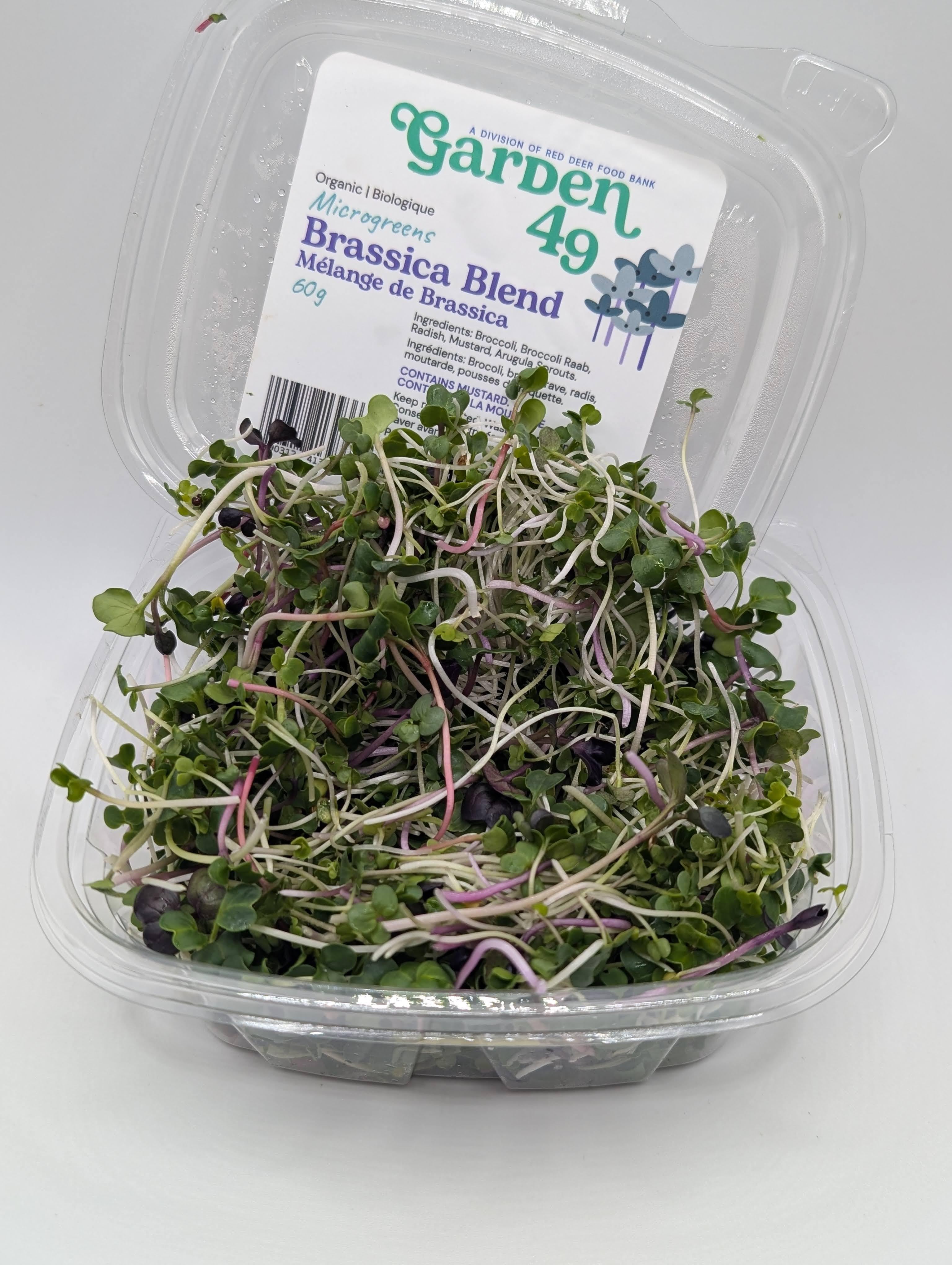 Microgreens, Brassica Blend, Organic