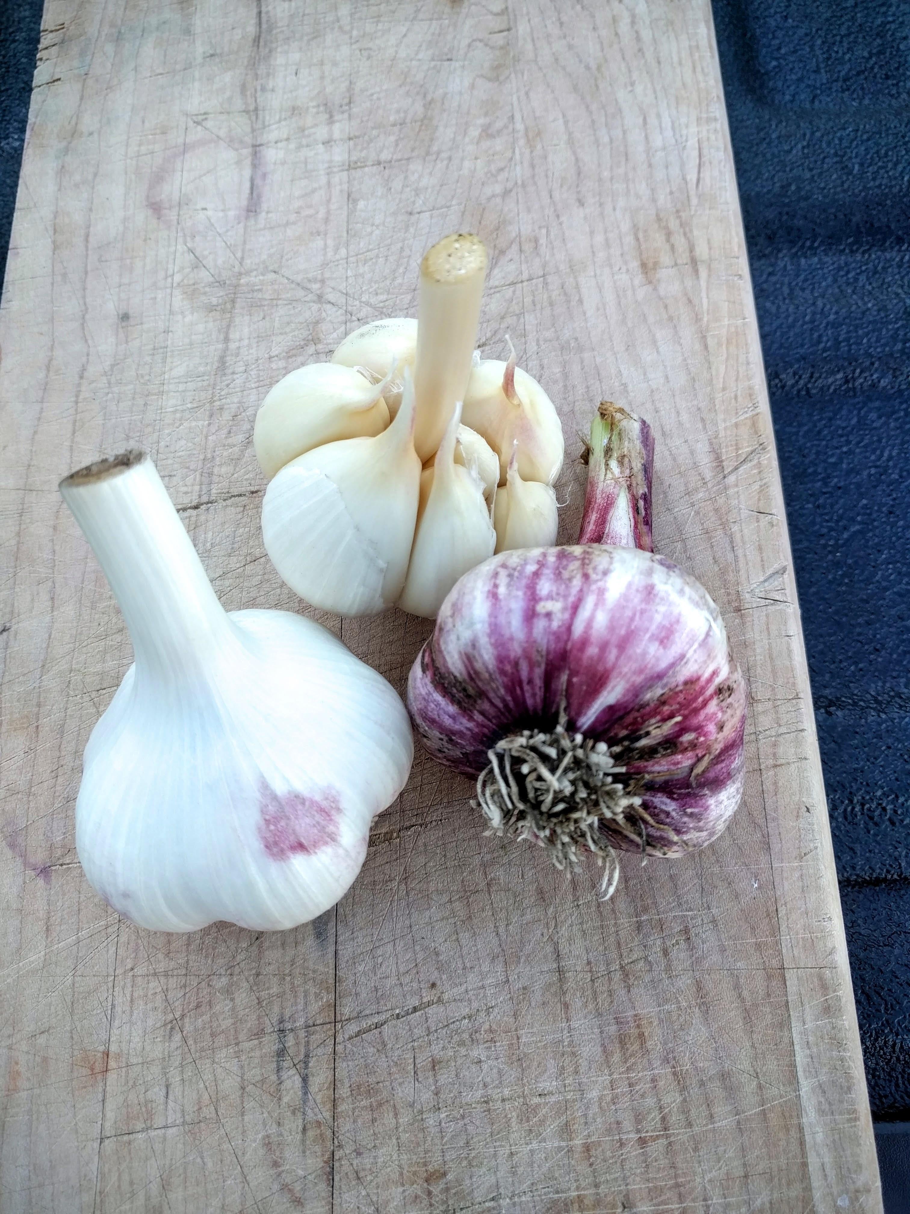 Garlic, Large, Chemical-Free