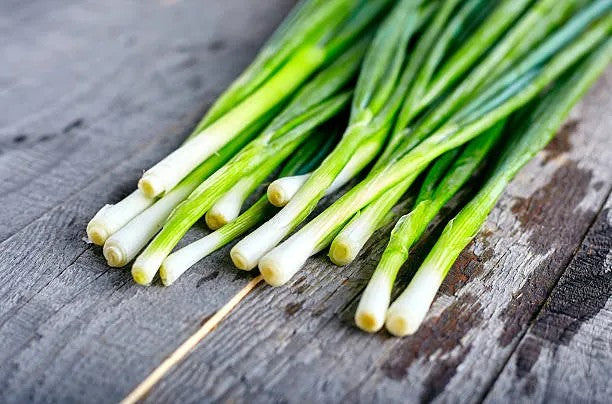 Onion, Green