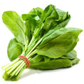 Spinach, Organic