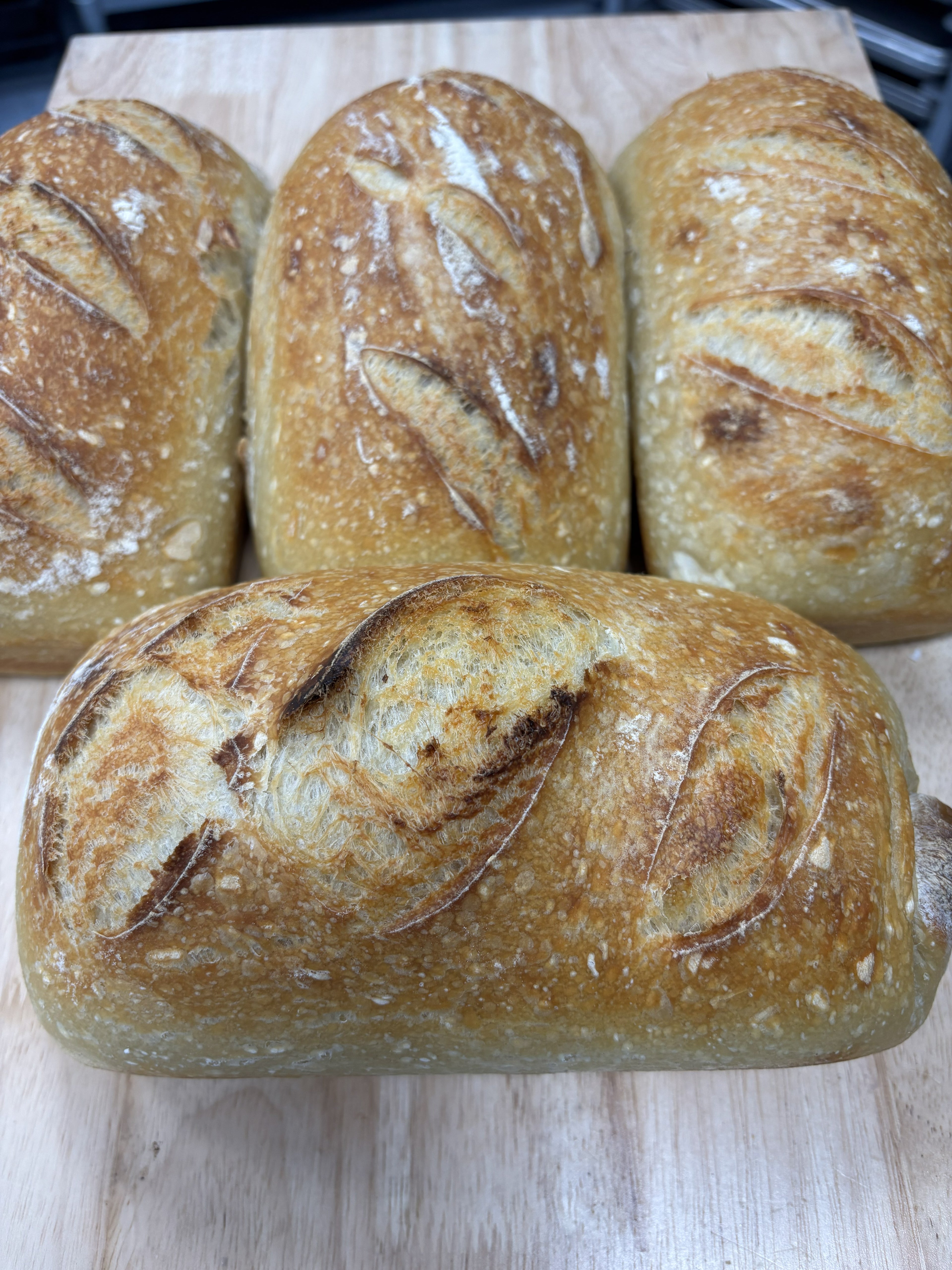 Bread, Sourdough Sandwich Loaf