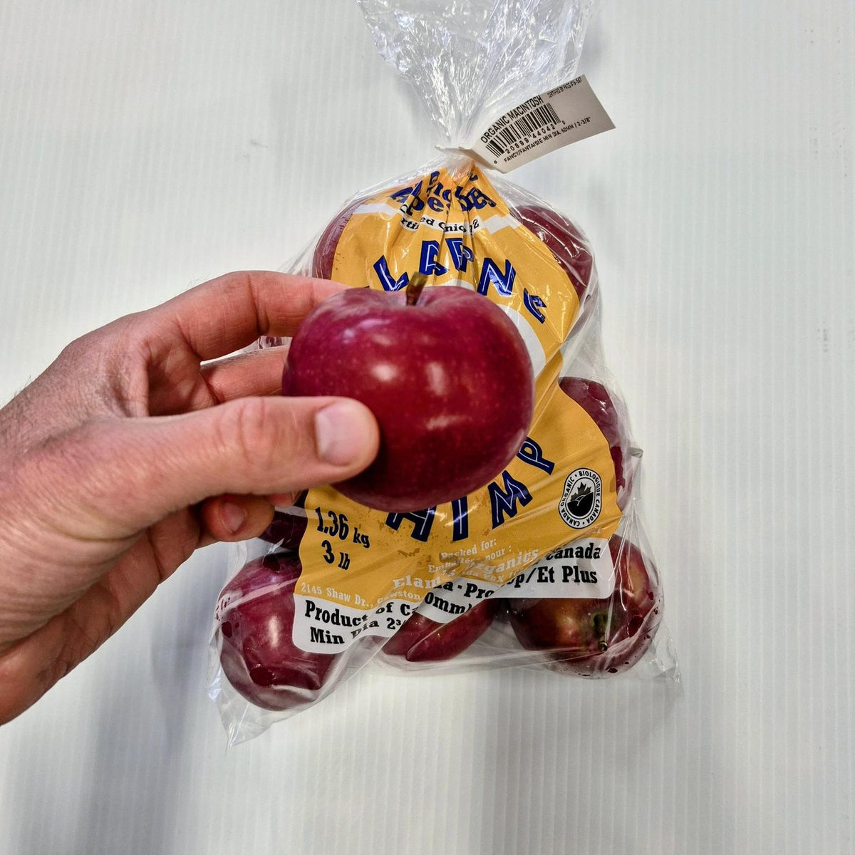 A 3 lb bag of organic McIntosh apples held in hand, with one apple held in front