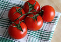 Tomato, Vine