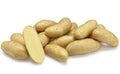 Bellanita fingerling potatoes, yellow skin with pale yellow flesh, one cut lengthwise
