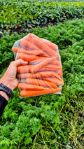 A 5 lb bag of carrots held in front of the carrot rows at Steel Pony Farm