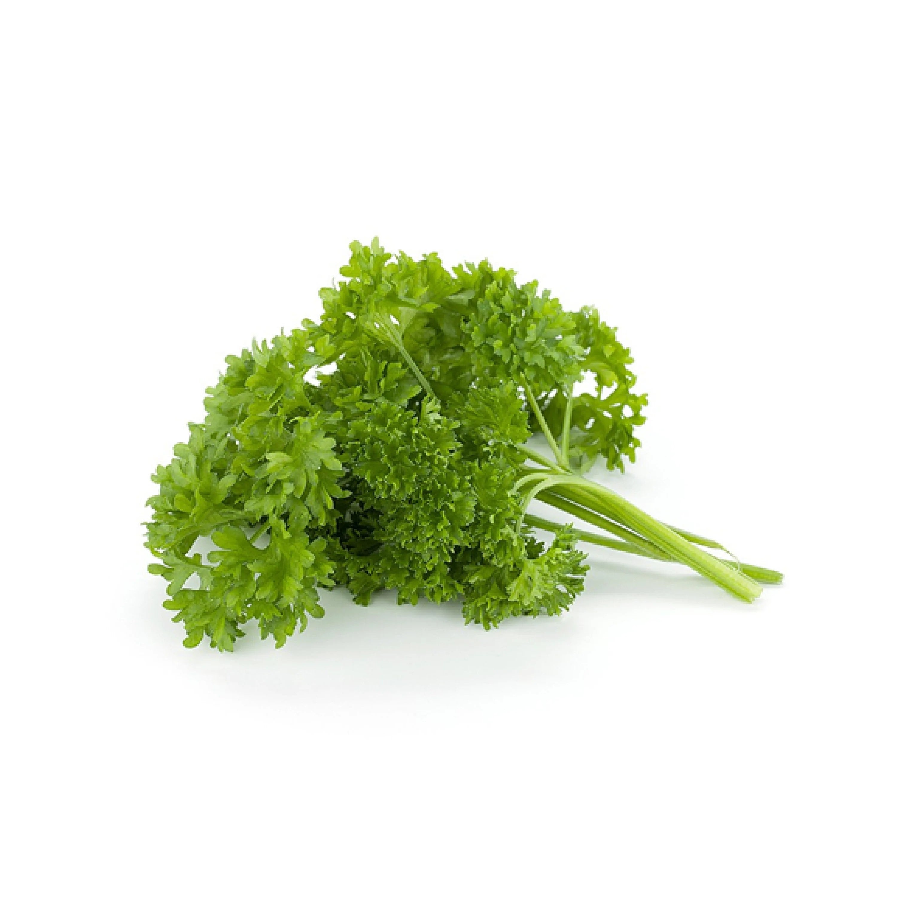 Parsley