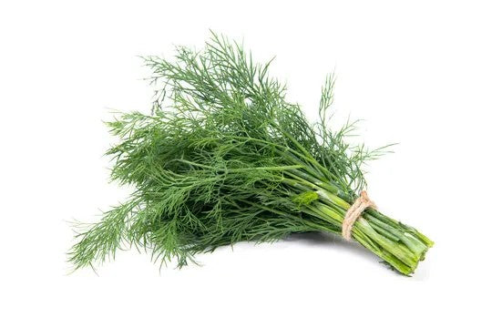Dill