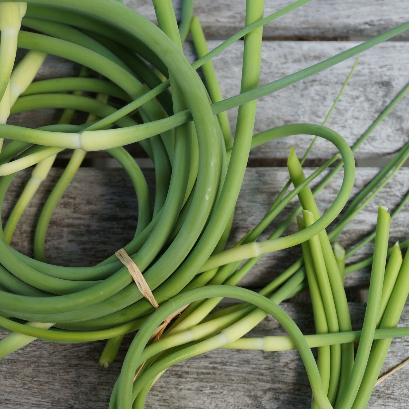 Garlic Scapes