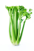 Celery, Organic