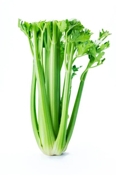 Celery, Organic