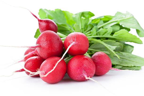 Radish, Red, Organic