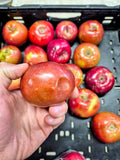 McIntosh apples with bruises and dents, one held up to show the damage