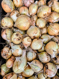 A crate of cured white cooking onions from Steel Pony Farm, papery skins and dry roots, seen from above