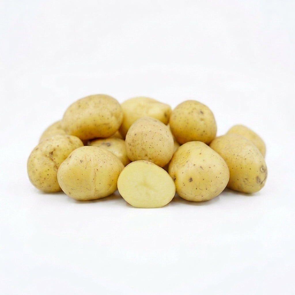 Potato, Yellow Columba