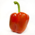 Bell Pepper, Red