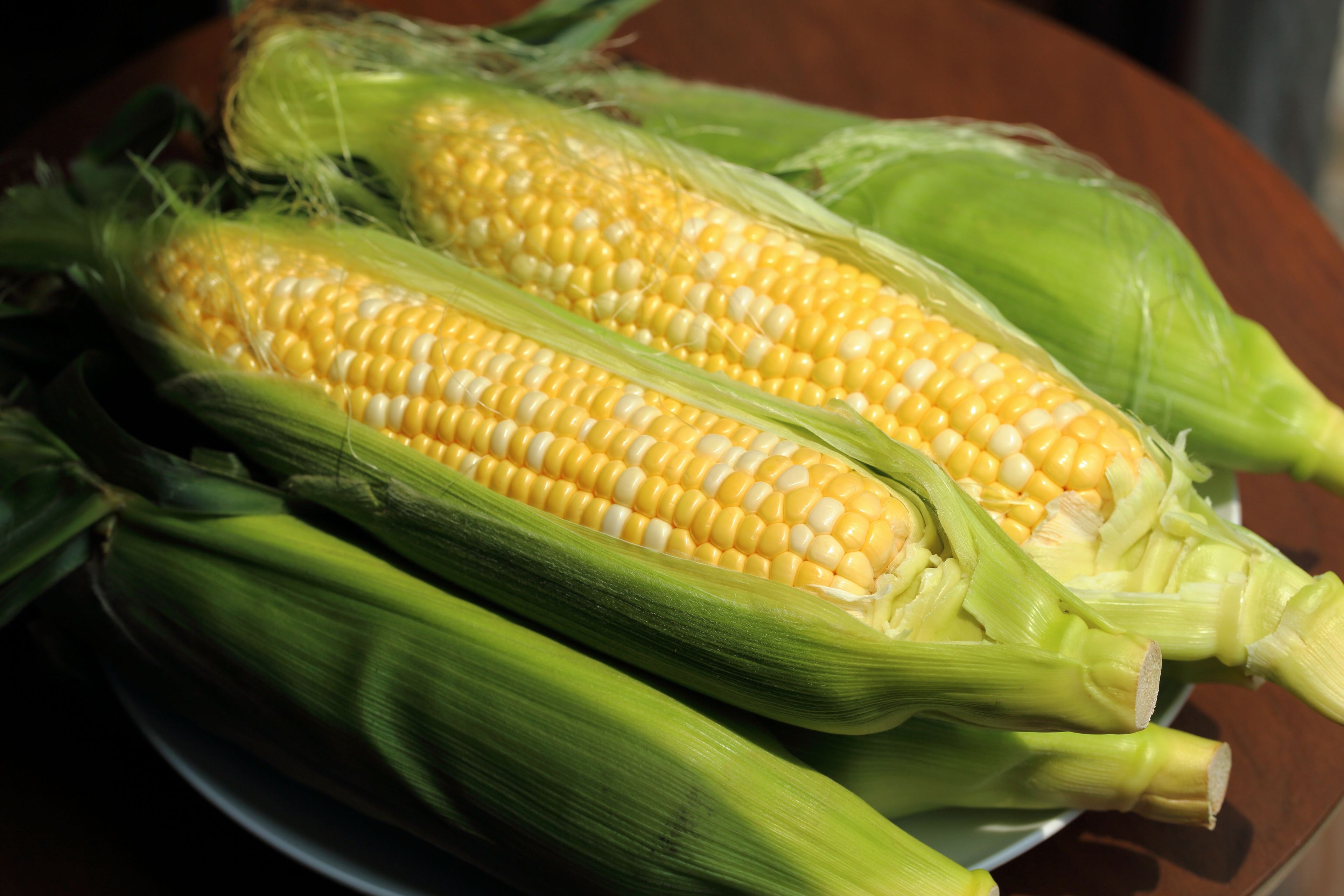 Sweet Taber corn, pack of 2