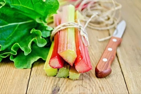 Rhubarb, Organic
