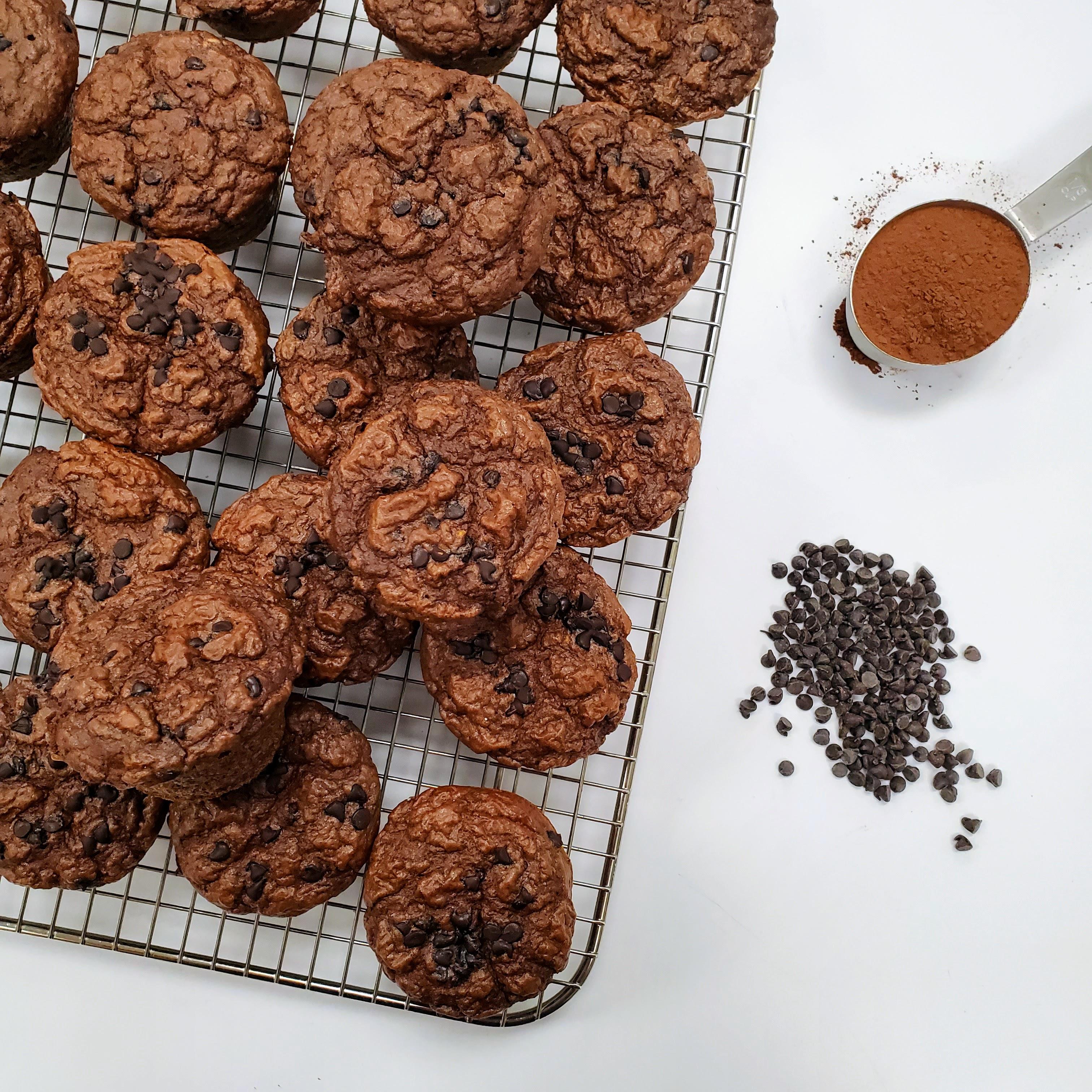Muffins, Chocolate Protein, Gluten-Free