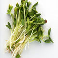 Microgreens, Sunflower Shoots, Organic