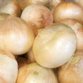 Onion, Cooking, Organic